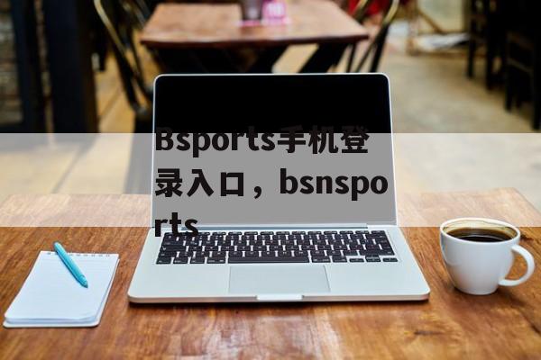 Bsports手机登录入口，bsnsports